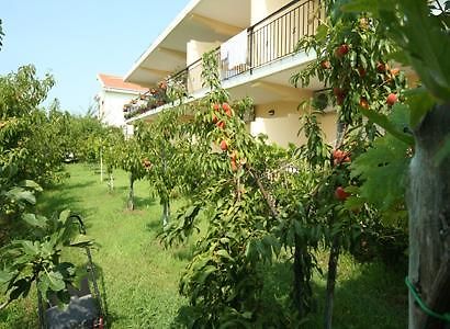 Bed And Breakfast Cirelli Scalea Exterior photo